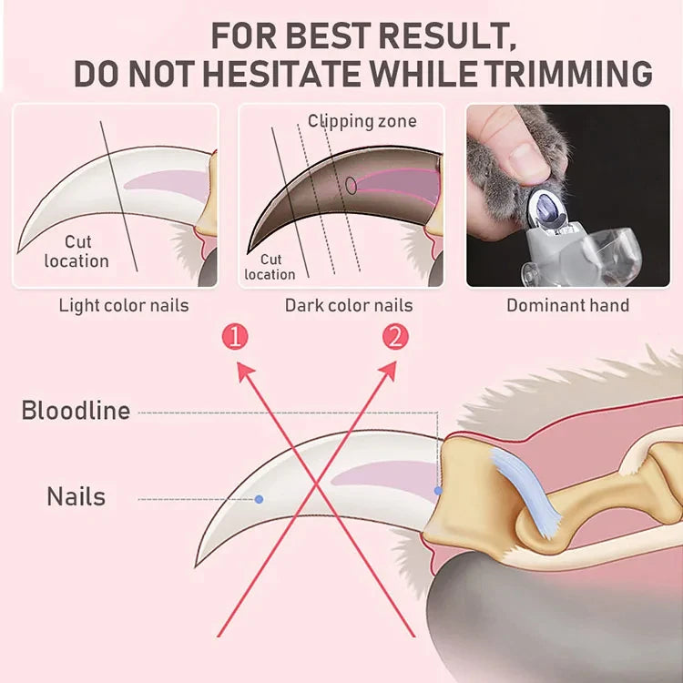 Smart LED Nail Cutter for Cats & Dogs ๐พ