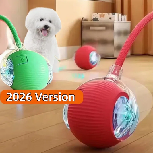 Rechargeable Automatic Rolling Dog Ball Interactive Smart Puppy Toy Intelligent Dog Accessories Fun Silicone Ball for Pets